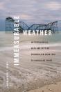 Immeasurable Weather - Preview