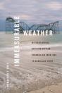 Immeasurable Weather - Preview