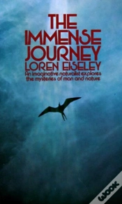 Capa do artigo Immense Journey