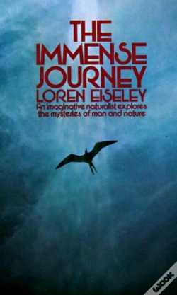 Capa do artigo Immense Journey