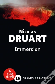 Capa do artigo Immersion