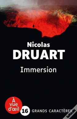 Capa do artigo Immersion