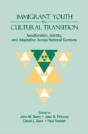 Immigrant Youth In Cultural Transition - Preview