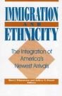 Immigration And Ethnicity - Preview