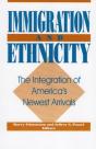 Immigration And Ethnicity - Preview