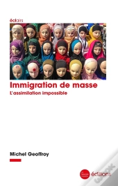 Immigration De Masse : L'Assimilation Impossible