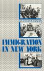 Immigration In New York - Preview