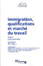 Immigration, Qualifications Et Marché Du Travail - Preview