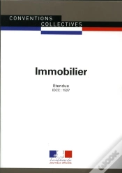 Capa do artigo Immobilier