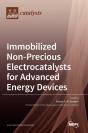 Immobilized Non-Precious Electrocatalysts For Advanced Energy Devices - Preview