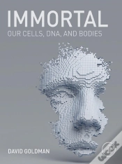 Capa do artigo Immortal