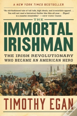 Capa do artigo Immortal Irishman