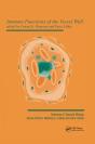 Immune Functions Of The Vessel Wall - Preview