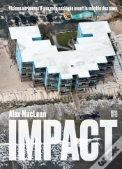 Capa do artigo Impact