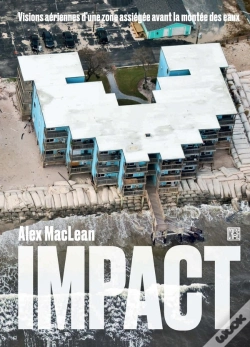 Capa do artigo Impact