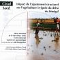 Impact De L'Ajustement Structurel Sur L'Agriculture Irriguee Du Delta Du Senegal - Preview