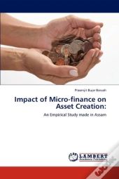 Impact Of Micro-Finance On Asset Creation