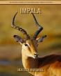 Impala - Preview