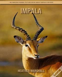 Capa do artigo Impala