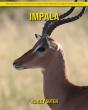 Impala - Preview