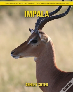 Capa do artigo Impala