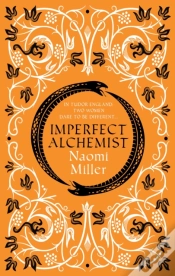 Capa do artigo Imperfect Alchemist