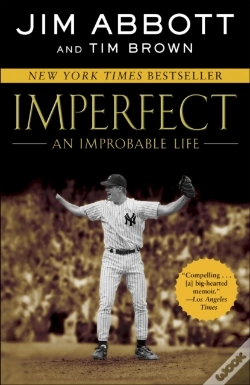 Capa do artigo Imperfect