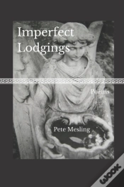 Capa do artigo Imperfect Lodgings