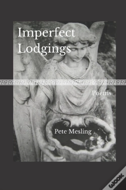 Capa do artigo Imperfect Lodgings