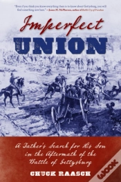 Capa do artigo Imperfect Union