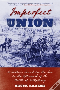 Capa do artigo Imperfect Union