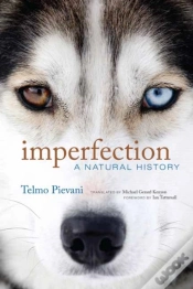 Capa do artigo Imperfection