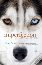 Capa do artigo Imperfection