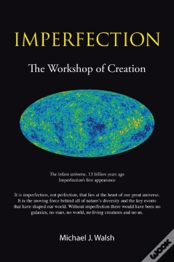 Capa do artigo Imperfection