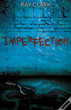 Capa do artigo Imperfection