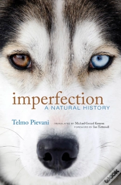 Capa do artigo Imperfection