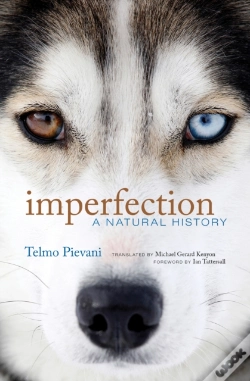 Capa do artigo Imperfection