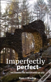 Capa do artigo Imperfectly Perfect
