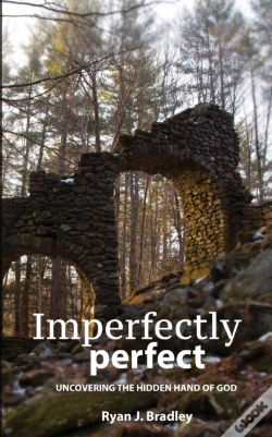 Capa do artigo Imperfectly Perfect