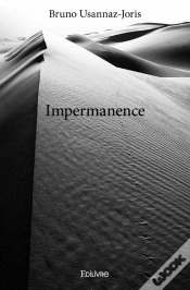 Capa do artigo Impermanence