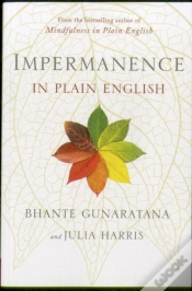 Capa do artigo Impermanence In Plain English