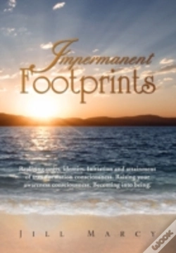 Capa do artigo Impermanent Footprints