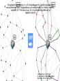 Implementation Of Intelligent Optimization Solutions For Logistics Problems In The North-East Of Veracruz: A Multidisciplinary Approach - Preview