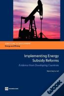 Implementing Energy Subsidy Reforms