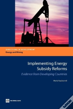 Capa do artigo Implementing Energy Subsidy Reforms