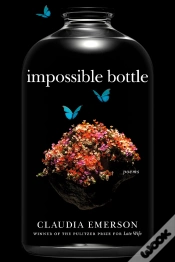 Capa do artigo Impossible Bottle