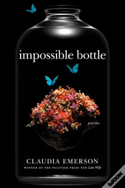 Capa do artigo Impossible Bottle