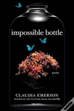Capa do artigo Impossible Bottle