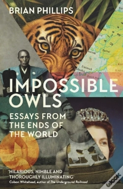 Capa do artigo Impossible Owls