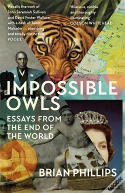 Capa do artigo Impossible Owls